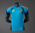 Spain 2026 Player Version Training - Blue Jersey